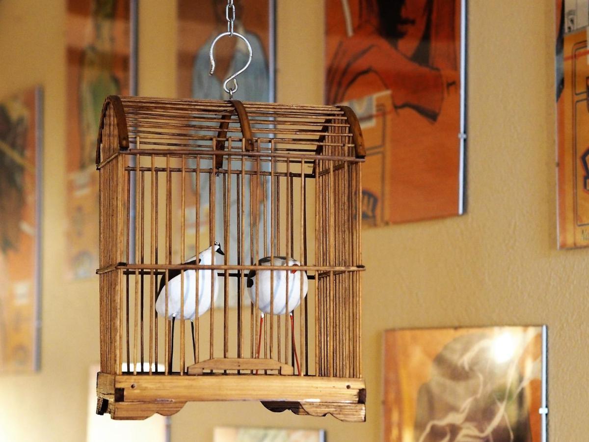 Chambres D'Hotes Le Secret Du Chat Cordes-sur-Ciel Esterno foto